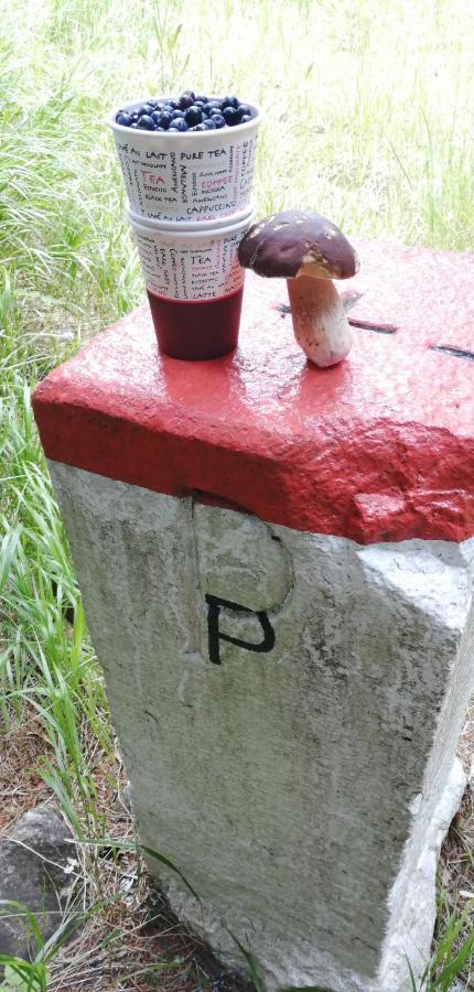 Dame Vam Pokoj - 4 Pokoje Se Sdilenou Kuchyni, Kapacita Max 9 Osob Harrachov Luaran gambar