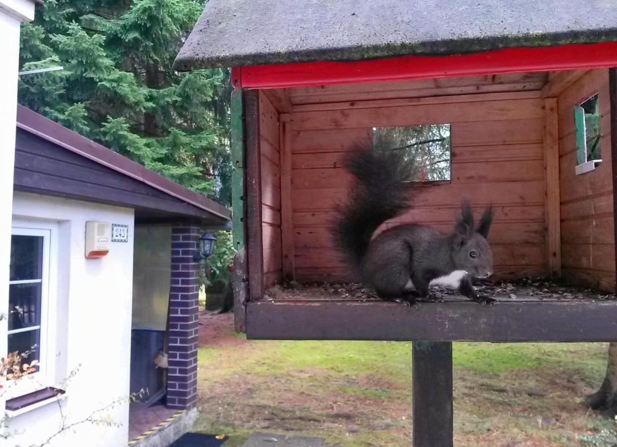 Dame Vam Pokoj - 4 Pokoje Se Sdilenou Kuchyni, Kapacita Max 9 Osob Harrachov Luaran gambar