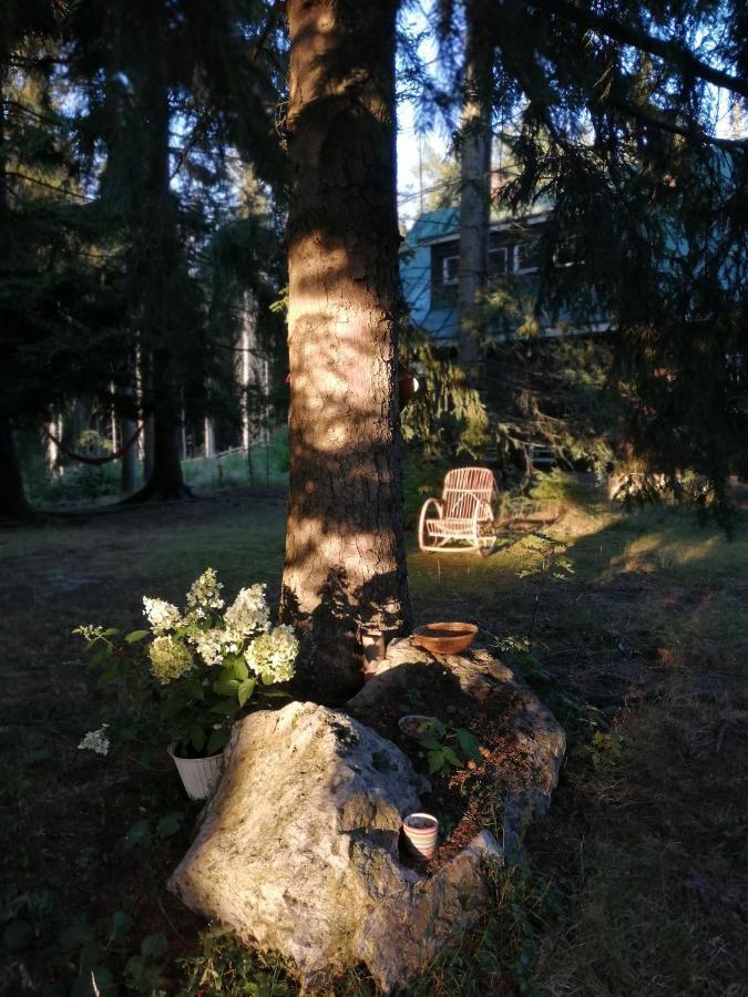 Dame Vam Pokoj - 4 Pokoje Se Sdilenou Kuchyni, Kapacita Max 9 Osob Harrachov Luaran gambar